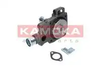 Насос T0166 KAMOKA