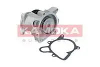Насос T0173 KAMOKA