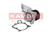 Насос T0173 KAMOKA