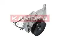 Насос T0173 KAMOKA