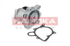 Насос T0173 KAMOKA