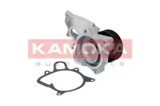 Насос T0173 KAMOKA