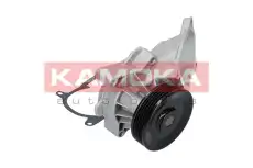 Насос T0173 KAMOKA