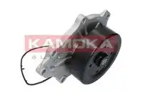 Насос системы охлаждения (помпа) KAMOKA T0176