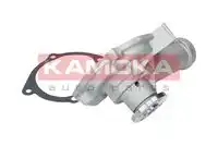 Насос системы охлаждения (помпа) KAMOKA T0209