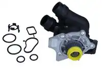 Насос 470245 MAXGEAR