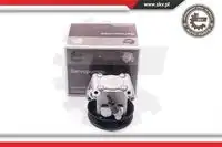 Насос гидроусилителя руля SKV 10SKV219