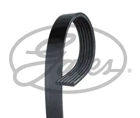 GATES 6PK2093