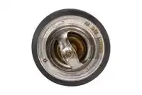 Термостат системы охлаждения MAXGEAR 670041
