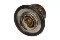 Термостат системы охлаждения MAXGEAR 670060