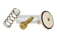 Термостат системы охлаждения MAXGEAR 670065