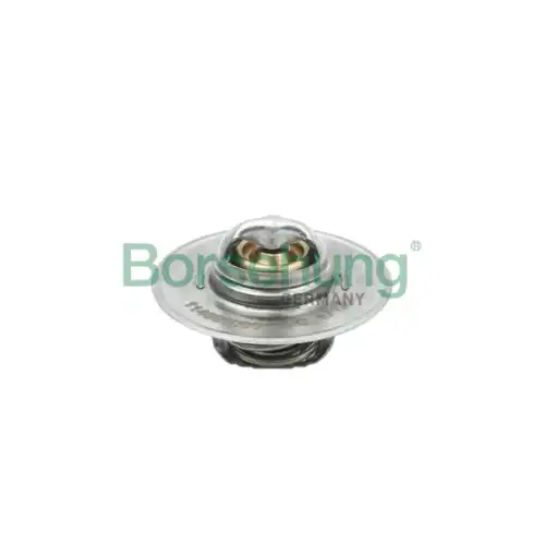 Термостат системы охлаждения BORSEHUNG B18280