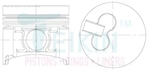 PISTON ASSY 446306STD TEIKIN