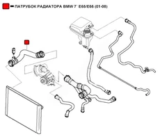 ПАТРУБОК РАДИАТОРА BMW 7 E65/E66 (01-08) WEPTR351 WENDERW