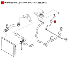  ПАТРУБОК РАДИАТОРА BMW 7` E65/E66 (01-08) WEPTR352 WENDERW