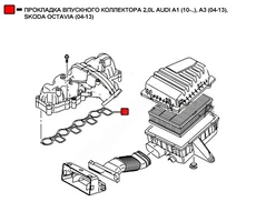 Прокладка коллектора WENDERW WERK019