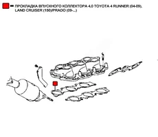 Прокладка коллектора WENDERW WERK046