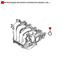 Прокладка коллектора WENDERW WERK028
