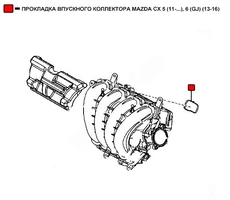 Прокладка коллектора WENDERW WERK029