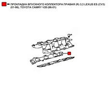 Прокладка коллектора WENDERW WERK033
