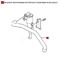 ШЛАНГ ВЕНТИЛЯЦИИ КАРТЕРНЫХ ГАЗОВ BMW X5 E53 (00-07) WEPTR028 WENDERW