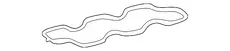 Прокладка коллектора TOYOTA / LEXUS 1717670020