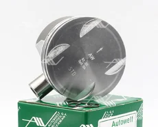 PN-52230 ПОРШЕНЬ STD MERCEDES M272/M273 AUTOWELT