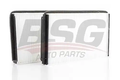 Салонный фильтр BSG BSG60-145-005