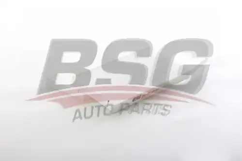 Салонный фильтр BSG BSG75-145-001