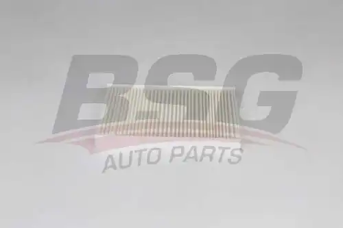 Салонный фильтр BSG BSG75-145-004