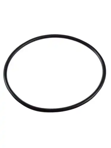 Уплотнительное кольцо Viscomat DC, шт. R09963000 PIUSI