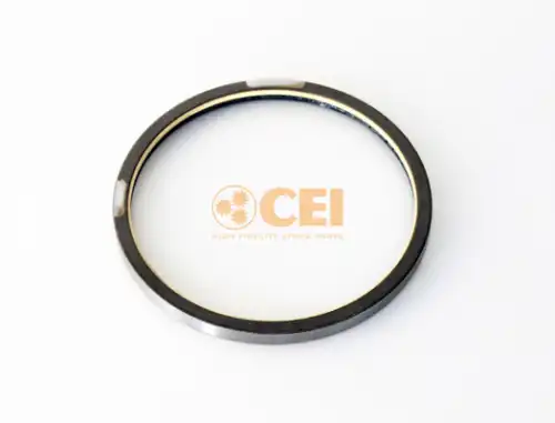 Сальник 239193 CEI