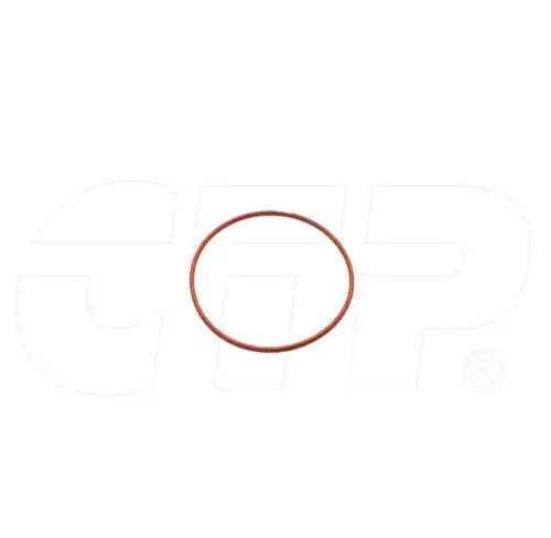 КОЛЬЦО УПЛОТНИТЕЛЬНОЕ ТОПЛИВНОГО НАСОСА 1075769 CTP