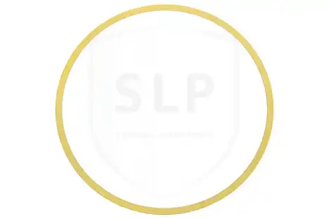 CYL. LINER SHIM CLAS-787 SLP
