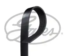 GATES 8PK2058HD
