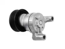 DriveAlign Tensioner Pulley 12609719 GMC