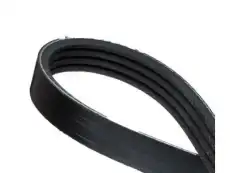 Micro-V Belt 12576447 HUMMER