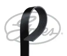 GATES 10PK1465HD