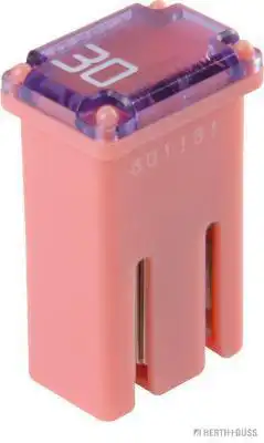 Sicherung M-CASE 30A 50295355 HERTH+BUSS