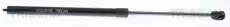 Gasfeder Vorne 871023135 TRISCAN