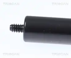 Gasfeder Vorne 871023135 TRISCAN