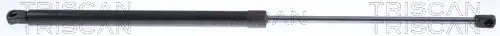 Gasfeder Hinten 871015257 TRISCAN