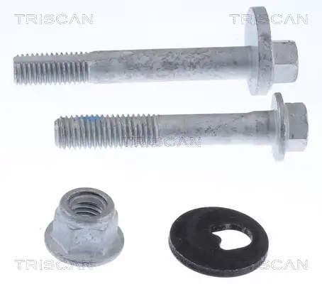 Bolzensatz 850016402 TRISCAN