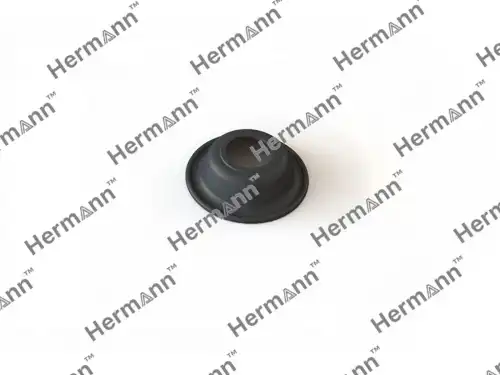 HR06A129061 МЕМБРАНА HERMANN