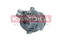 Водяной насос T0280 KAMOKA