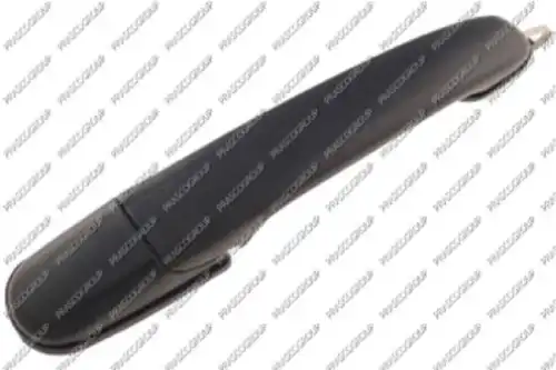 Ручка двери PRASCO VG0958111