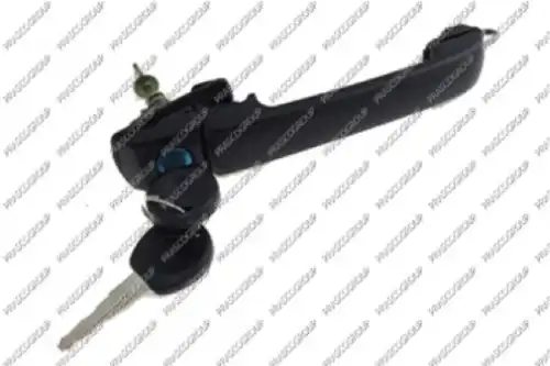 Ручка двери PRASCO VG0328011
