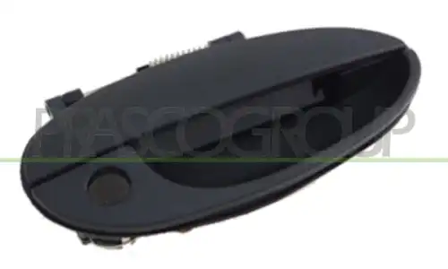 Ручка двери PRASCO DW3208001