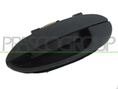 Ручка двери PRASCO DW3208102