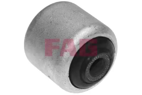 Рычаг подвески FAG 829 0012 10